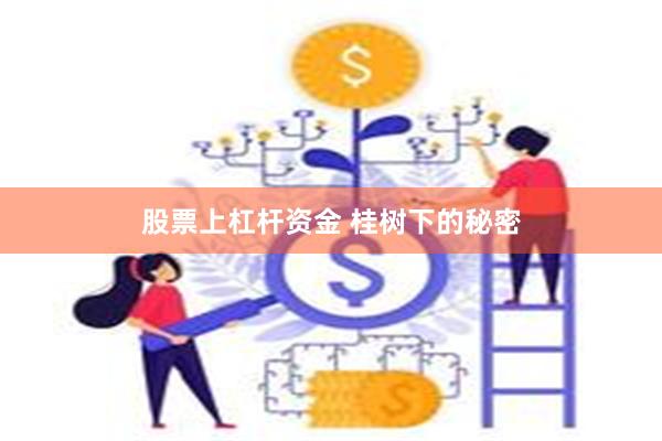 股票上杠杆资金 桂树下的秘密