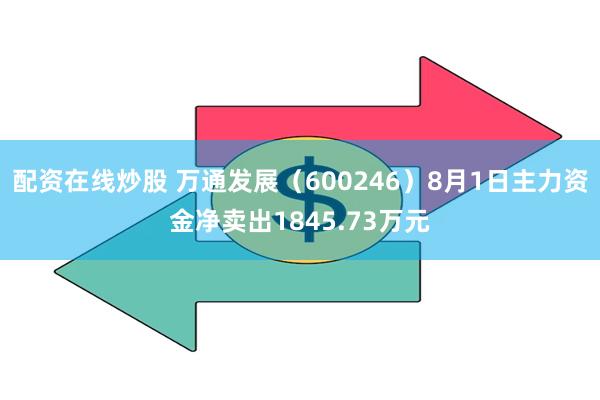 配资在线炒股 万通发展（600246）8月1日主力资金净卖出