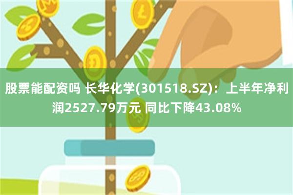 股票能配资吗 长华化学(301518.SZ)：上半年净利润2527.79万元 同比下降43.08%