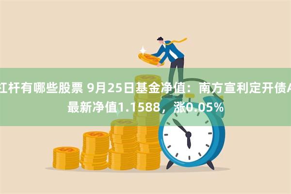 杠杆有哪些股票 9月25日基金净值：南方宣利定开债A最新净值1.1588，涨0.05%