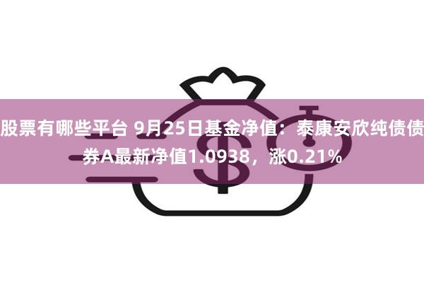 股票有哪些平台 9月25日基金净值：泰康安欣纯债债券A最新净值1.0938，涨0.21%