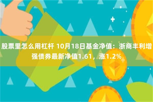 股票里怎么用杠杆 10月18日基金净值：浙商丰利增强债券最新净值1.61，涨1.2%