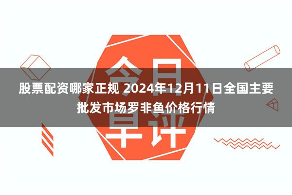 股票配资哪家正规 2024年12月11日全国主要批发市场罗非鱼价格行情