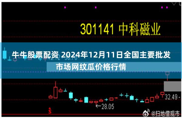 牛牛股票配资 2024年12月11日全国主要批发市场网纹瓜价格行情