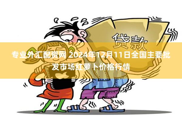 专业外汇配资网 2024年12月11日全国主要批发市场红萝卜价格行情