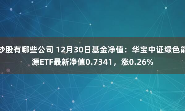 炒股有哪些公司 12月30日基金净值：华宝中证绿色能源ETF最新净值0.7341，涨0.26%