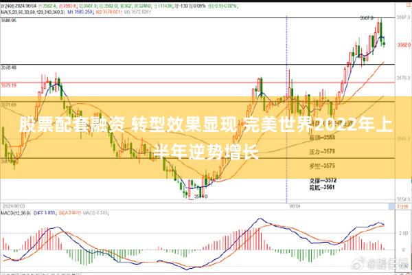 股票配套融资 转型效果显现 完美世界2022年上半年逆势增长