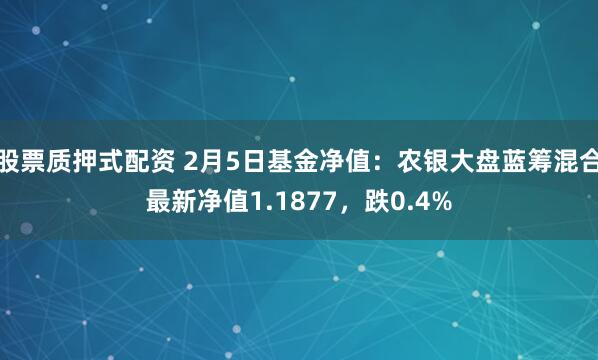 股票质押式配资 2月5日基金净值：农银大盘蓝筹混合最新净值1.1877，跌0.4%