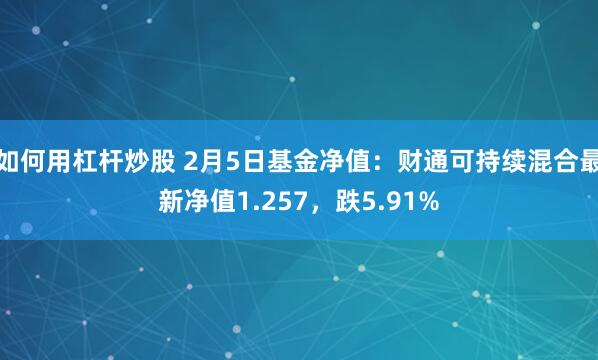 如何用杠杆炒股 2月5日基金净值：财通可持续混合最新净值1.257，跌5.91%