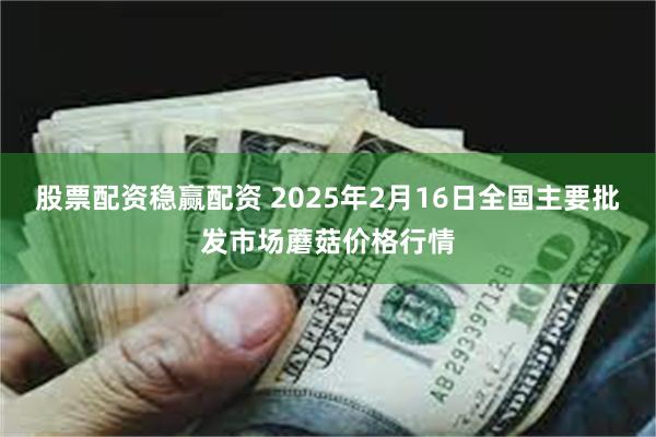 股票配资稳赢配资 2025年2月16日全国主要批发市场蘑菇价格行情