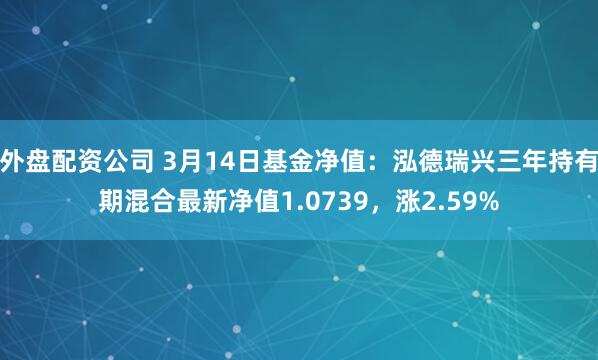 外盘配资公司 3月14日基金净值：泓德瑞兴三年持有期混合最新净值1.0739，涨2.59%